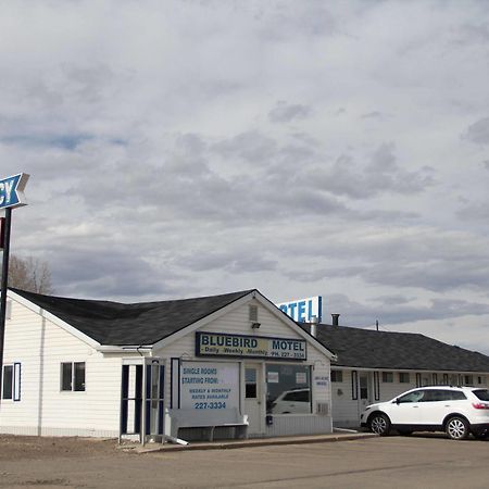 Bluebird Motel Innisfail Eksteriør bilde